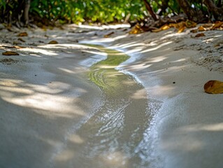 Fototapeta premium Elongated Water Trail on Sandy Shore