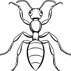 Cute Ant Silhouette line art  black vector illustration