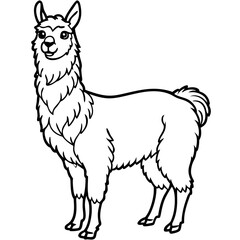 Cute Llama Silhouette line art  black vector illustration
