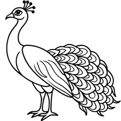 Cute Peacock Silhouette line art  black vector illustration