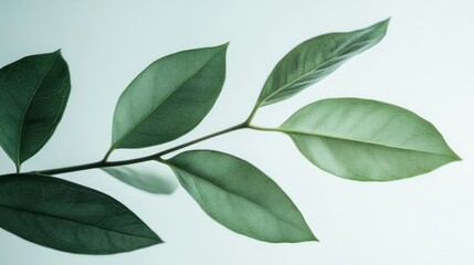 Fresh Leaf with Glittery Dots