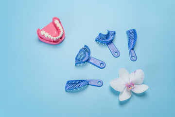 Set of dental pliant impression trays with a layout of the human jaw.
