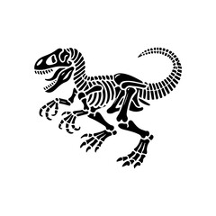  dinosaur skeleton fossil 