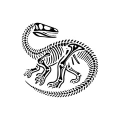  dinosaur skeleton fossil  © Riki