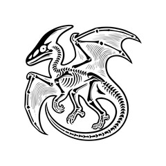  dinosaur skeleton fossil 