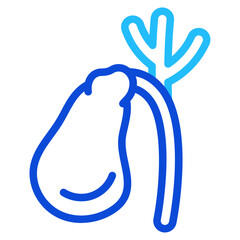 Obraz premium Gallbladder Duoline Icon