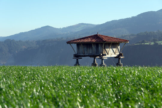 Typical Asturian horreos in Cadavedo, Asturias, Spain