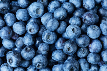 blueberries close up