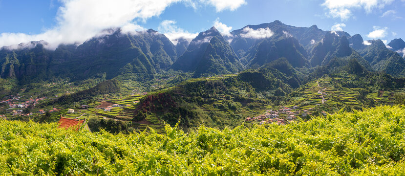 Terraced fields landscape from road ER228, between Sao Vicente and Vereda Chao dos louros in Madeira