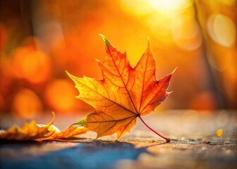 Simple orange and yellow leaves create a minimal autumn scene.