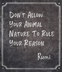 Fototapeta premium animal nature Rumi quote