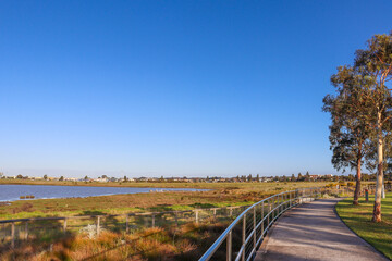 path through wetlands surrounded by suburban housing and urban development