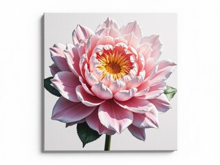 Pink lotus flower blooming, showing its delicate petals and vibrant center