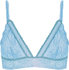 Watercolor blue lace bra