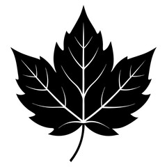 black and white leaf
