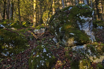 Big boulders at the hiking track from Posern to Rathlucken Hütte at Bad Goisern, Salzkammergut, Gmunden district, Upper Austria, Austria
