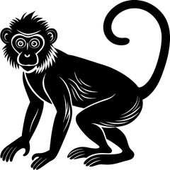 monkey