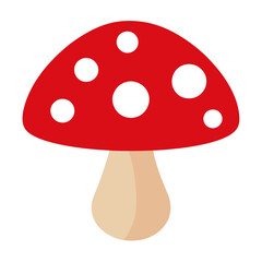 fly agaric mushroom