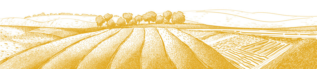 Green field landscape on small hill. Vector meadow grass, nature, pasturage, farm. Rural scenery landscape panorama of countryside pastures.