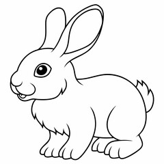 illustration of a rabbit