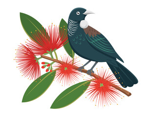 The Tui, a native New Zealand bird perched on a branch of a Pohutukawa tree