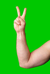 A hand holding up a peace sign against a bright green background