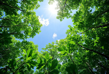 Fototapeta premium Green mangrove growth beneath, vital climate change solution, natural carbon filtration, promoting sustainable ecosystems