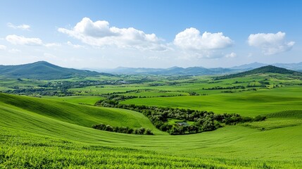 Fototapeta premium Lush green rolling hills and valley landscape under a bright blue sky.