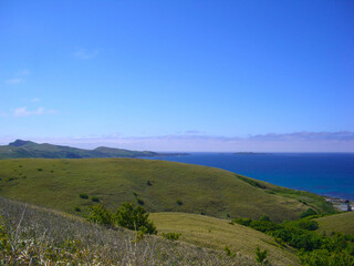 礼文島　礼文森林の丘の風景