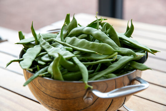 R&eacute;colte de haricot mangetout frais dans une passoire m&eacute;tallique pos&eacute;e sur une table en bois.