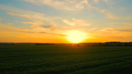 Scenic sunset over green field. A breathtaking sunset over a vast green field with vibrant orange and yellow hues filling the sky.