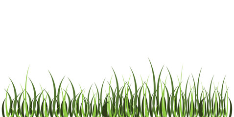 Fototapeta premium Green grass, weed plants for lawn, spring or summer field, garden or meadow. Borders and tufts of fresh grass blades isolated on white background, vector realistic set