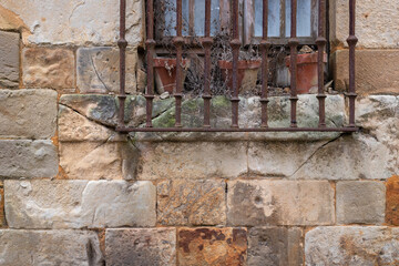 Window with dry plants on rural facade
