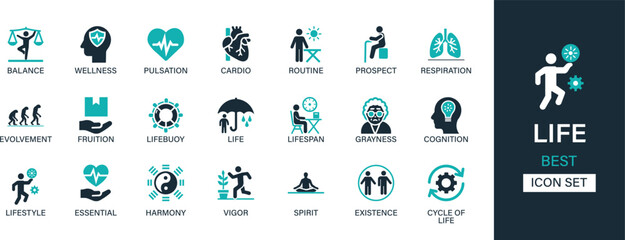 Life icon set collection. Balance, wellness, pulsation, cardio, routine, prospect, respiration, evolvement, fruition, lifebuoy, life and best solid icon set.