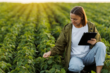 Modern agribusiness. Female farmer with digital tablet examines and checkins green leaves of soybeans plants at field. Agronomist controls growth and development of sprouts. Smart farming technology.