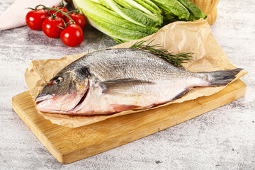 Raw dorada fish served rosemary