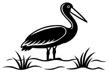 illustration of a white pelican