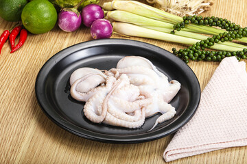Delicous fresh raw uncooked octopus