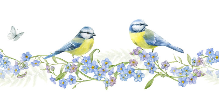 Forget-me-nots, tit birds and ferns in a seamless border. The illustrations are hand drawn in watercolor and isolated on a white background.
