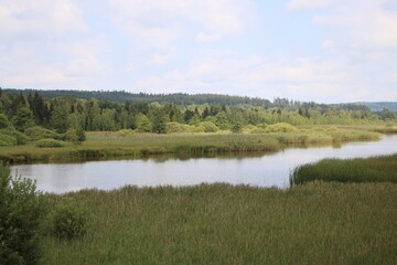lake in the middle of forests and bushes.