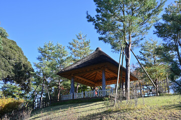 東屋、戸定ヶ丘歴史公園にて