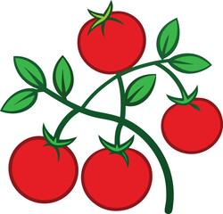 tomato with green leaves