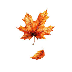 Obraz premium Watercolor Illustration of an Orange Autumn Leaf