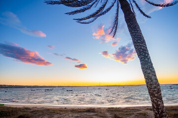 Formentera, playa de la Savina al atardecer con barcas