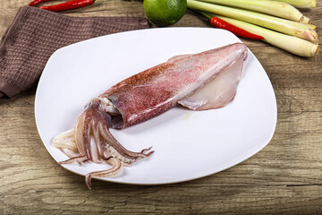 Raw fresh squid for cooking