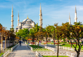 Obraz premium Blue or Sultan Ahmed mosque in Sultanahmet square in center of Istanbul, Turkey