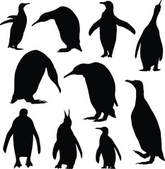 Obraz premium Set of penguin Black silhouette Vector Image Flat black emperor penguin 
