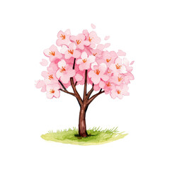 Fototapeta premium Watercolor Cherry Blossom Tree in Full Bloom