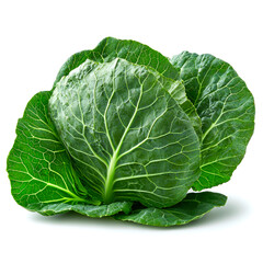Fototapeta premium Fresh green cabbage isolated on white background. (3)