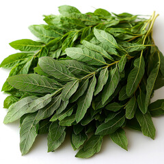 Fresh green leaves pile on white background.